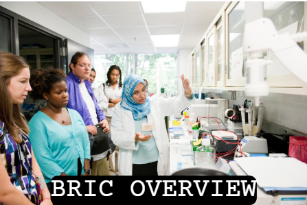 BRIC Overview Icon link to Overview Page