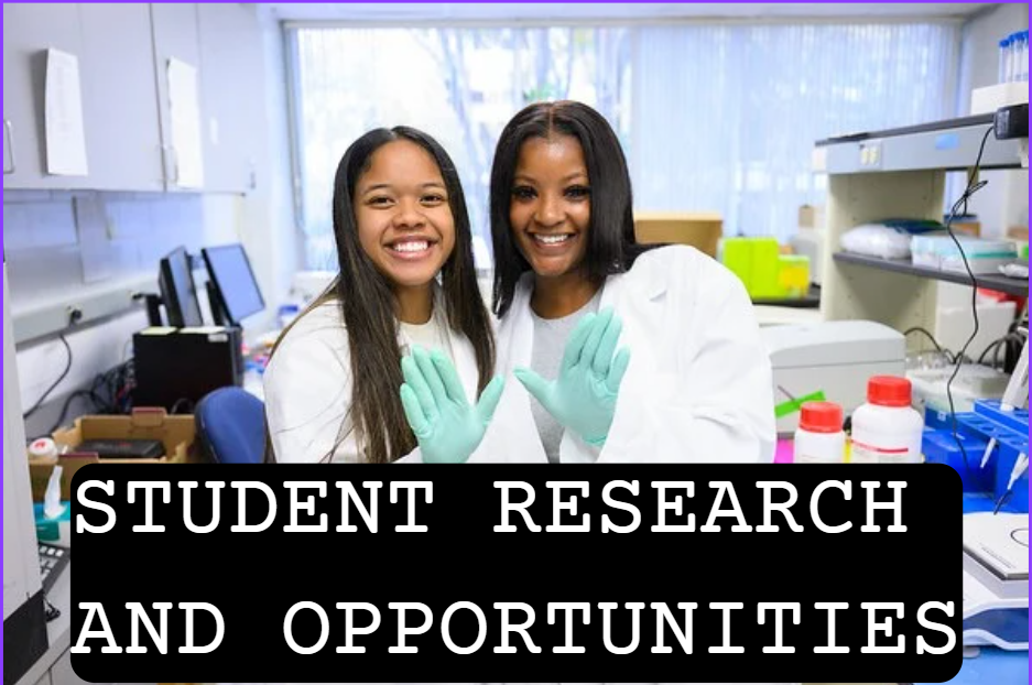 Student Research icon linked to Student research and opportunities page